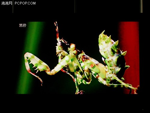 ͹ăH74W!37ƷҺuy