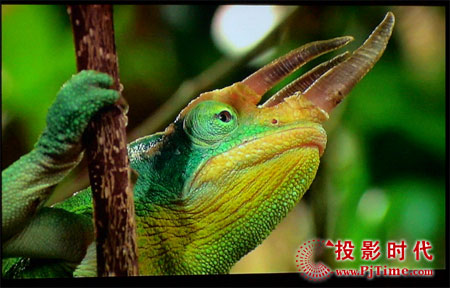 cŴ