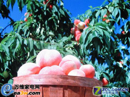  LC32BT26ҺҕĸDƬЧD