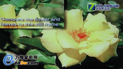  TLM4628LFҺҕHQV^y(c)ԇDƬ