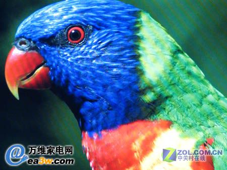 VA421ҺҕĸҕlЧD