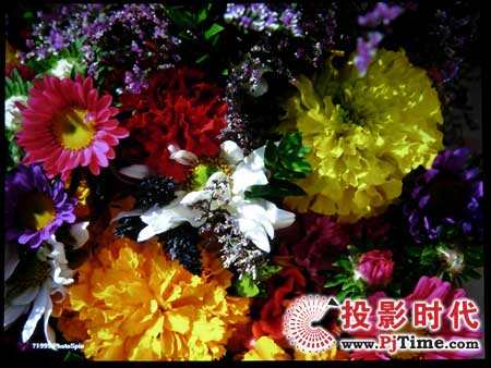 明基sp820商務投影機