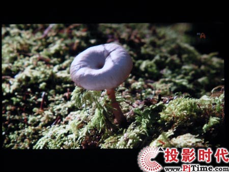 點擊放大,三星LED投影機SP-P310ME