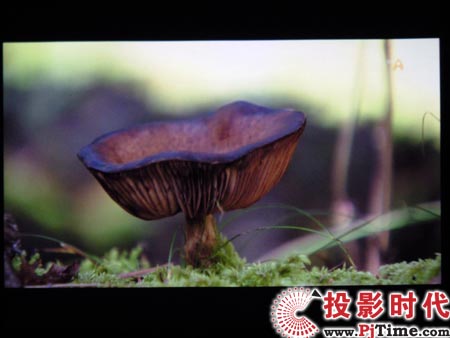 點擊放大,三星LED投影機SP-P310ME