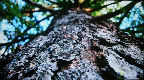 五款萬元42寸1080p液晶電視橫向評(píng)測(cè) 五款萬元42寸1080p液晶電視橫向評(píng)測(cè)
