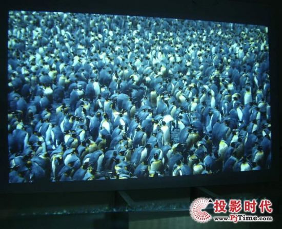 DIY投影機HDTV 720P 三星演示片