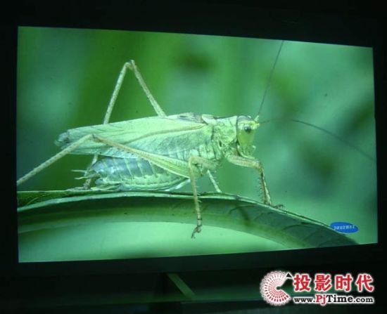 DIY投影機HDTV 720P 三星演示片