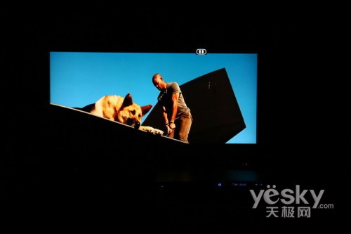 OPPO DVD播放器 DV-981HD