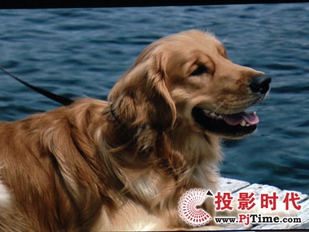 點(diǎn)擊放大，宏碁X1260 XGA商務(wù)投影機(jī)電腦視頻效果