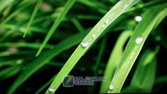 時尚彩殼 索尼40J400A液晶TV全國首測 