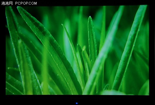 ܰ 19PҺҕu
