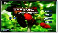 功能強大！歌華有線TV數字機頂盒試用 