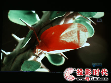 點擊放大，明基MP512ST電腦高清視頻效果