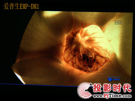 c(din)Ŵ󣬐EMP-DM1XҕlЧPK