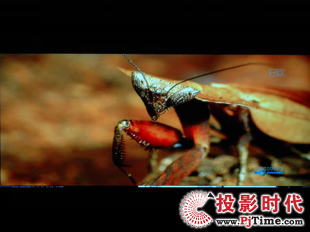 點擊放大,TCL液晶電視DTL42E9FQ電腦高清視頻效果