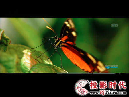 點擊放大,TCL液晶電視DTL42E9FQ電腦高清視頻效果