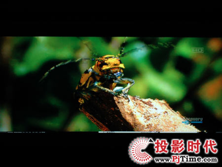 點擊放大,TCL液晶電視DTL42E9FQ電腦高清視頻效果