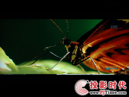 點擊放大,TCL液晶電視DTL42E9FQ電腦高清視頻效果