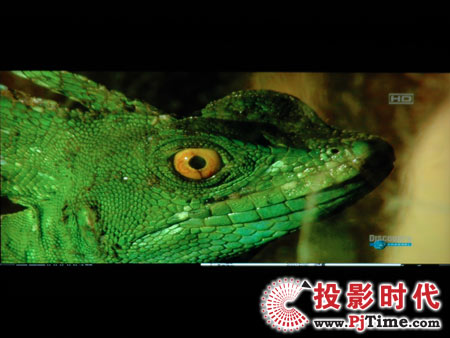 點擊放大,TCL液晶電視DTL42E9FQ電腦高清視頻效果