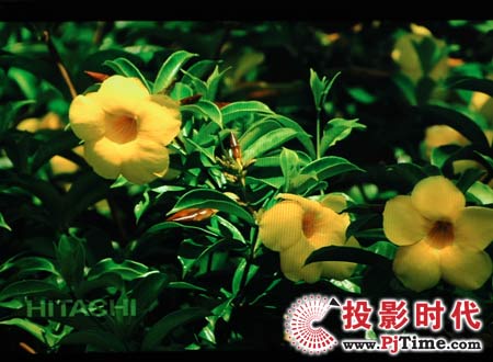 cŴ󣬄SҺҕ42L02RFXЧ
