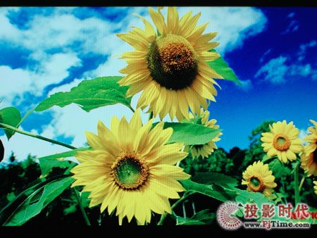 LG 42LG70ED平板電視