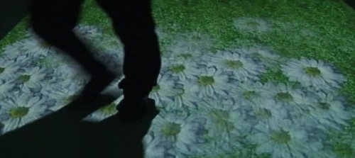 ɫƵ滥ͶӰϵy