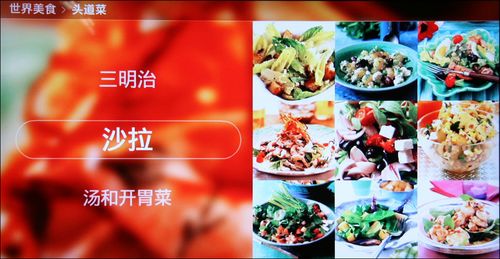 三星液晶電視LA46A850S1F世界美食一覽