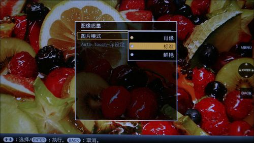 ᔵaDPF-V1000