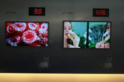 FPDChina2009ƽ@ʾg(sh)չ 弼g(sh)ƪ