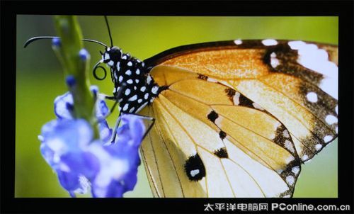 奧圖碼HD82影院級1080P投影機(jī)評測