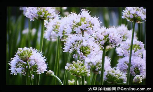 奧圖碼HD82影院級1080P投影機(jī)評測
