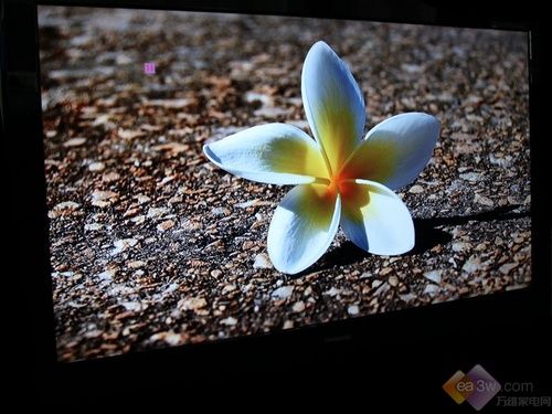 樂教家族添新丁 長虹LT52720F液晶首測