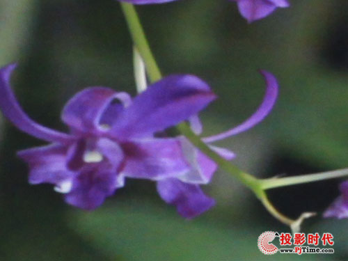 大巧不工 雅圖LX640商務(wù)教育投影機(jī)評測