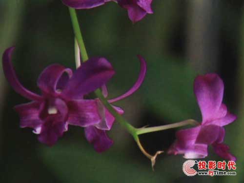 宏碁H5360投影機抗鋸齒性能評測