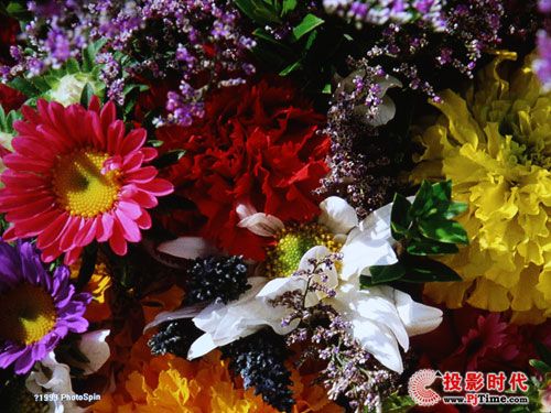 ʽԽ 곞S5200̽ͶӰCuy