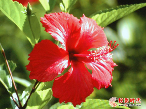 主流式超越 宏碁S5200短焦投影機(jī)評(píng)測(cè)