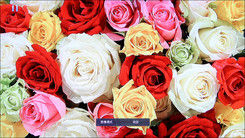 ȫýw!BAҺҕ47HT35uy