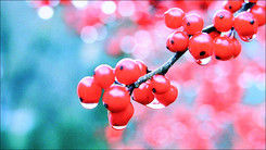 ȫýw!BAҺҕ47HT35uy
