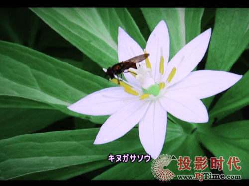 {ʹQ9岥řC