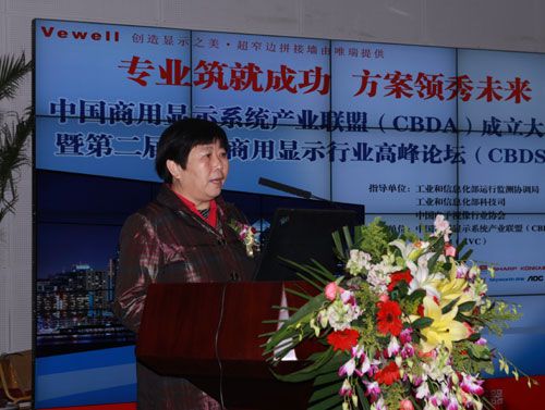 中國電子視像協會副會長兼秘書長白為民