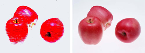 2010ȴʢ䄓®aƷuxxaƷ ȫP16شu
