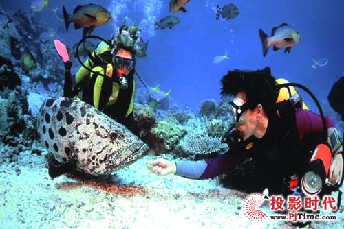 專業高清視頻