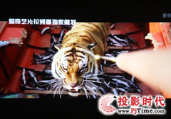 少年派的奇幻漂流