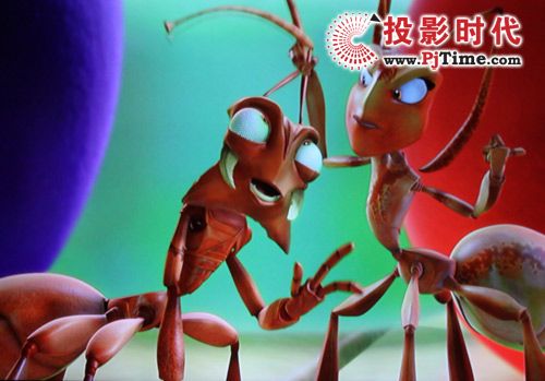 藍光影視；《別惹螞蟻》實拍