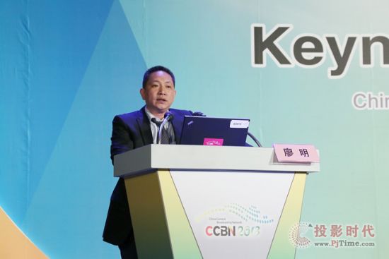 CCBN2013}v