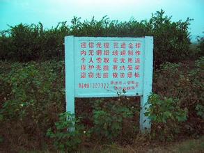奇視點：選電視新標準，賣破爛要值錢