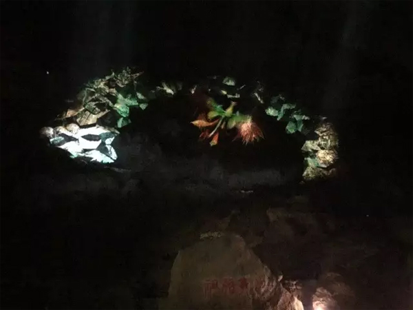 һʮﲻ㡱DPͶӰCÿƼ@ܶ