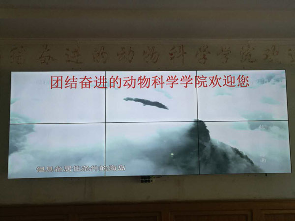 內蒙古呼市農業大學↑