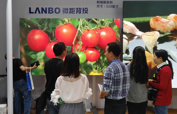 LANBO微距背投重新定義大尺寸教室屏幕護眼標準