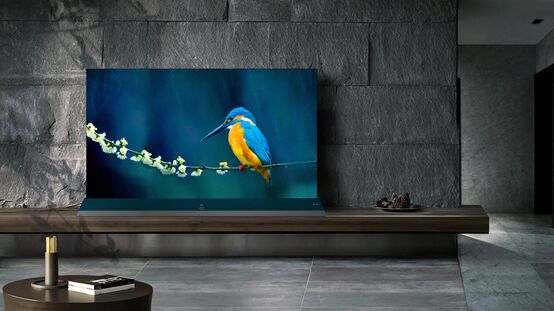 直擊TCL IFA新品發布會， X8、8K QLED TV揭示顯像科技未來